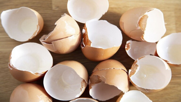 قشور البيض "تخفي" فائدة صحية للجسم