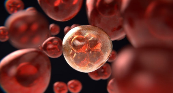 كيف ينشأ السرطان من الخلايا العادية؟