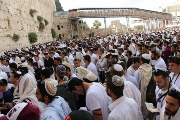 آلاف المستوطنين يستعدون لاقتحام المسجد الاقصى