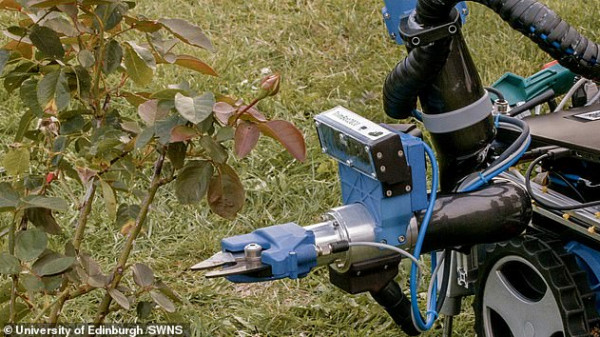 روبوت جديد لتقليم شجيرات الحدائق والمنازل