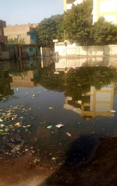 المدارس والمنازل تغرق بمياه الصرف الصحى بقرية الشوبك بالجيزة بسبب انسداد المواسير
