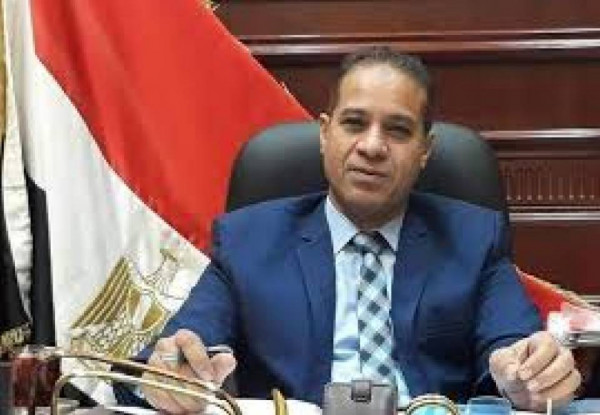 كوش: حملة السيسي للقضاء على الفشل الكلوي تعكس اهتمام القيادة بصحة المواطن