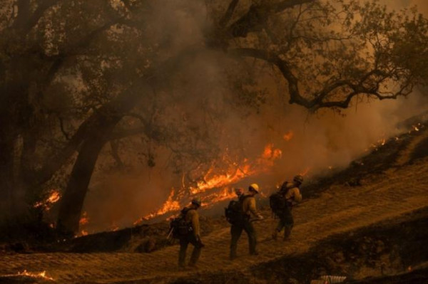 إخماد الحريق الأخطر في غابات كاليفورنيا منذ بداية العام