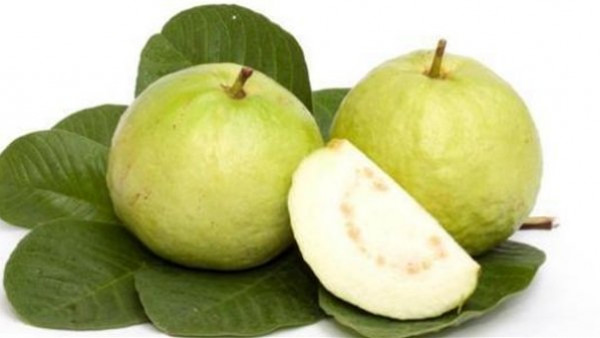 في موسمها.. ماذا يحدث لجسمك عند تناول أوراق الجوافة؟