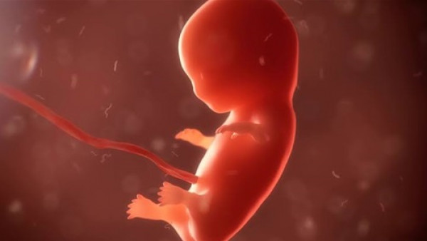 عملية قيصرية لمولود.. ولادة طفلة وهي مبتلعة لتوأمها