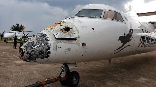 طائرة تهبط بأعجوبة.. ما علاقة الطبيعة