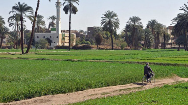 مصري يقتل فلاحًا حاول الإمساك بيد زوجة شقيقه