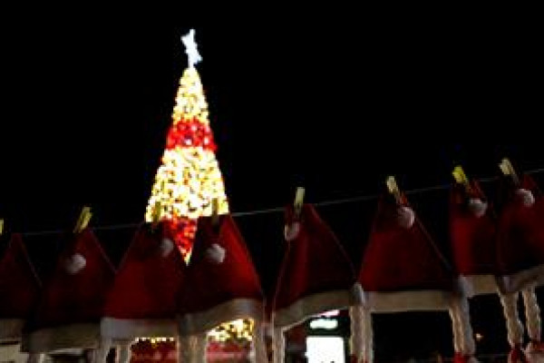 اضاءة شجرة الميلاد في نابلس