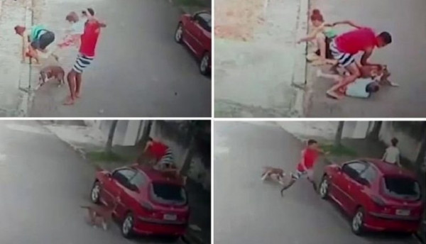 شاهد: أنياب كلب متوحش برقبة طفل وأب يتدخّل بيدين عاريتين