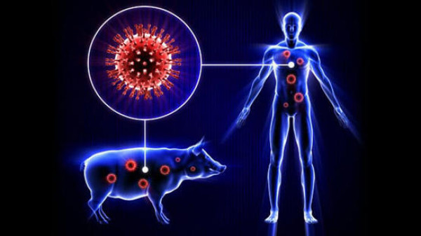 الصحة: 14 إصابة بإنفلونزا الخنازير منذ الأول من أيلول الماضي بالضفة الغربية