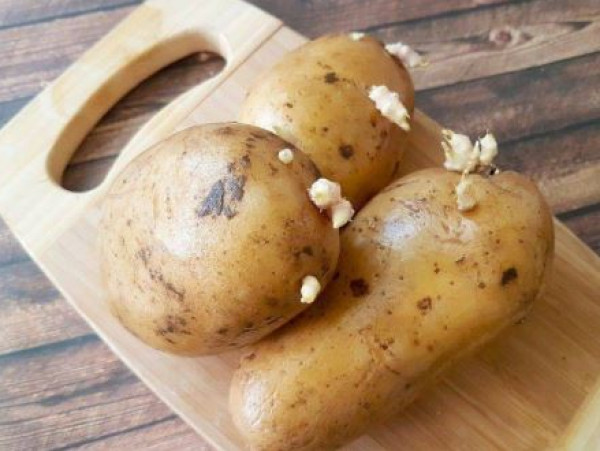 طريقة لا تعرفينها تمنع نمو الجذور على حبات البطاطا