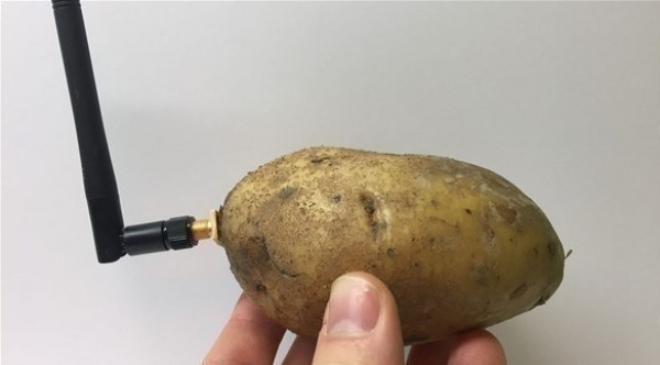 أداة تُحول "البطاطس" إلى مساعد ذكي يجيب على أسئلتك