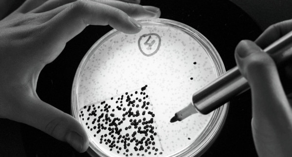 الأطباء عاجزون.. البكتيريا الخارقة تهدد البشرية