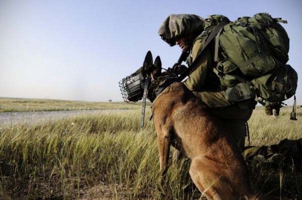 هيئة الأسرى: هكذا تعمد جنود الاحتلال ترك كلب ينهش رقبة طفل قاصر