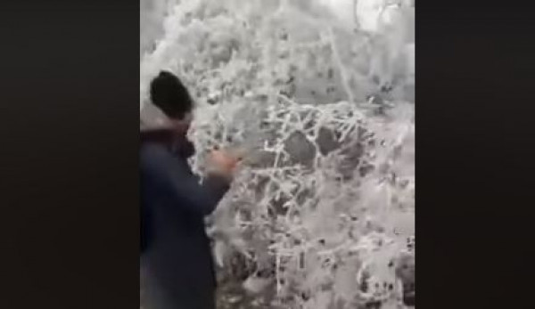 فيديو صادم لشباب من غزة يجمعون الثلج ليشربوا خلال رحلة تهريب