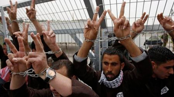 فروانة: (540) أسيراً في سجون الاحتلال يقضون أحكاماً بالسجن المؤبد