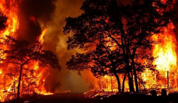 أستراليا.. تعليق الرحلات الجوية في مطار كانبرا بسبب الحرائق