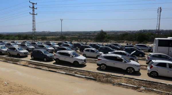 إدخال 97 سيارة جديدة لقطاع غزة