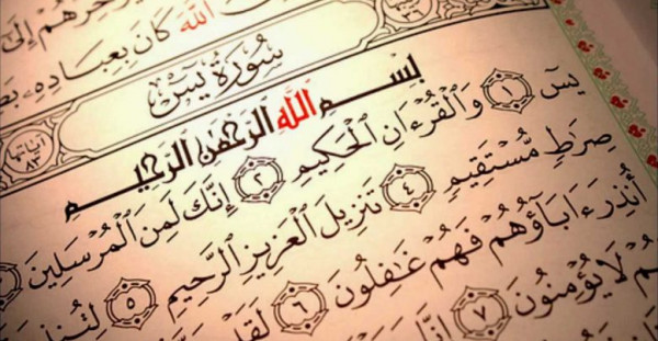 شاهد: باحث فلسطيني يرصد أخطاءً كارثية في نسخة قرآنية ترجمتها السعودية للعبرية
