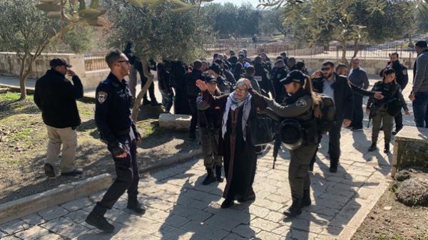 الاحتلال يعتقل ست نساء مرابطات في الأقصى