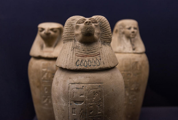 كشف أسرار جديدة عن الحيوانات المحنطة في مصر القديمة