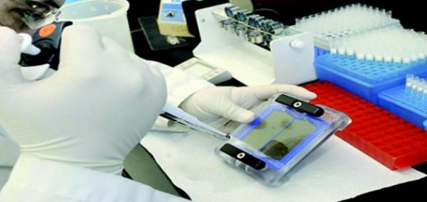 الصحة: عام 2019 شهد اضافة جهاز لفحص الفيروسات بوحدات الدم شمال القطاع