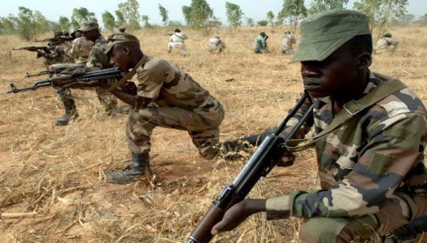 مقتل 120 مسلحاً في النيجر خلال عملية عسكرية
