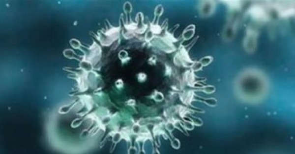 الجزائر تعلن تسجيل أول إصابة مؤكدة بفيروس "كورونا"