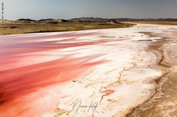 البحيرات الوردية.. ظاهرة عجيبة في سلطنة عمان