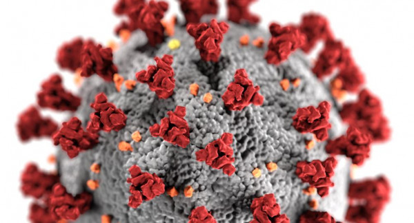 اليابان تستخدم دواء يمكن أن يمنع فيروس كورونا من إصابة خلايا هامة