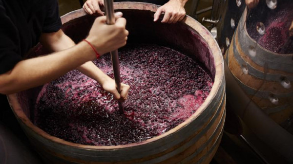 نبيذ يتدفق من صنابير المياه في قرية إيطالية