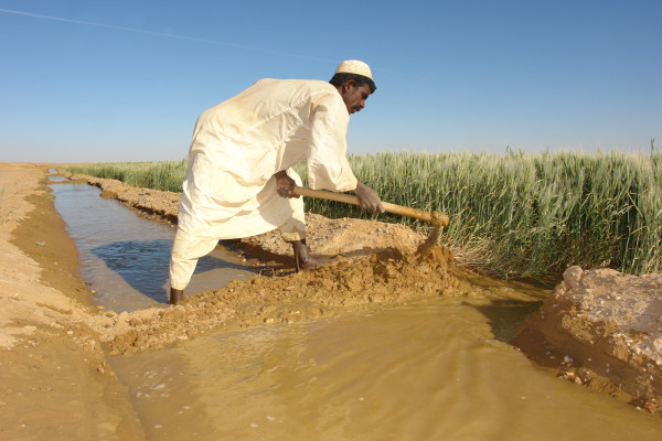 صندوق أبوظبي للتنمية يدعم السودان بمستلزمات للقطاع الزراعي بقيمة 40 مليون درهم