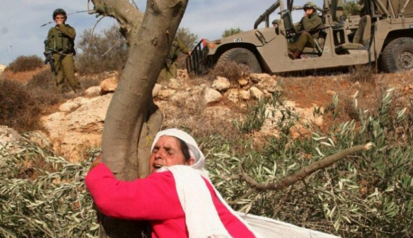 المركزي للإحصاء: في "يوم الأرض".. الاحتلال يُسيطر على 85% من فلسطين التاريخية