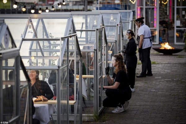 مطعم هولندي يتحدى كورونا ببيوت زجاجية