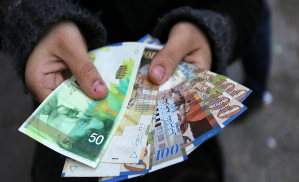 الأوقاف ت علن بدء صرف مكافأة مالية لعدد 1515 متطوع ا لديها دنيا الوطن