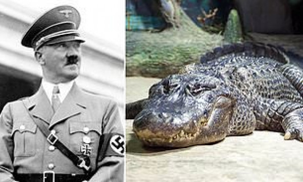 وفاة تمساح هتلر عن عمر 84 عاماً