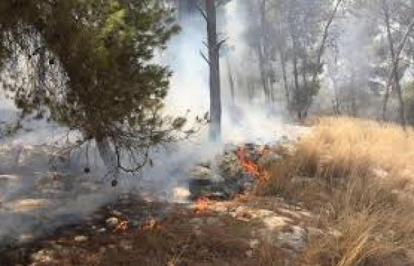 الدفاع المدني يُخمد حريقاً كبيراً في أحراش نور شمس شرق طولكرم