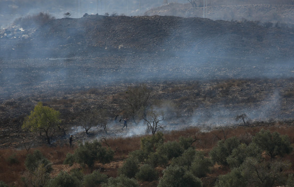 مستوطنون يحرقون عشرات أشجار الزيتون جنوب نابلس