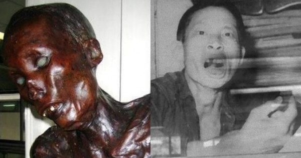 بعد عرضها محنطة للزوار 62 عاماً.. حرق جثة قاتل متسلسل آكل للحوم البشر