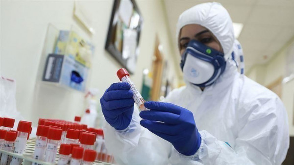 شاهد: وزارة الصحة بغزة تنشر "تحديثاً" للخارطة الوبائية لفيروس (كورونا)