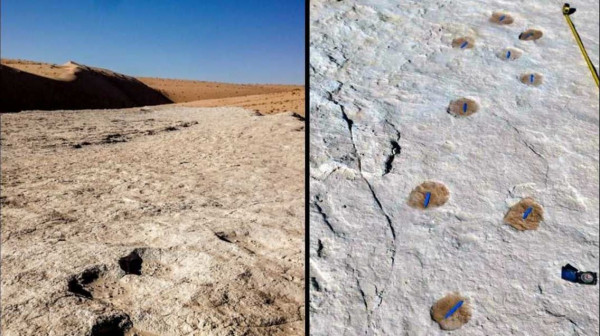 السعودية تُعلن اكتشاف آثار أقدام لبشر وحيوانات مفترسة تعود لـ 120 ألف سنة