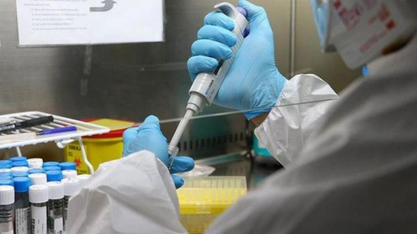 الصحة بغزة: تسجيل (45) إصابة جديدة بفيروس (كورونا) خلال 24 ساعة الماضية