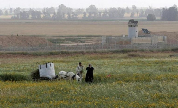 قوات الاحتلال تطلق النار تجاه الأراضي الزراعية شرقي دير البلح