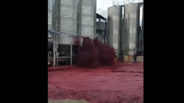 شاهد: إسبانيا.. النبيذ الأحمر يغمر مصنعا للخمور