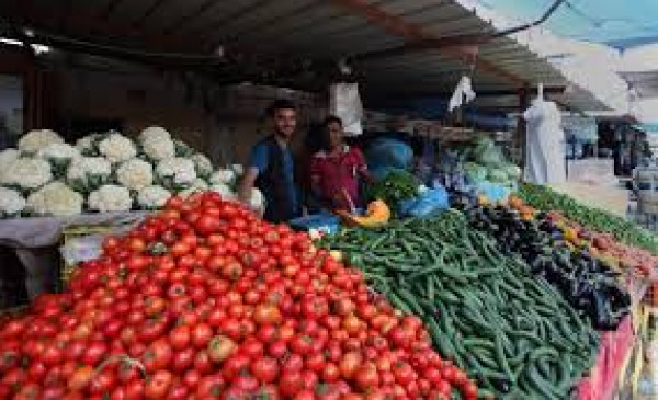 طالع: أسعار الخضروات والدجاج في قطاع غزة