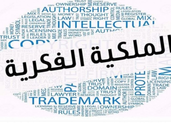 أبو سيف: طرح قانون حقوق المؤلف هو حماية وتعزيز للبنية التحتية الثقافية