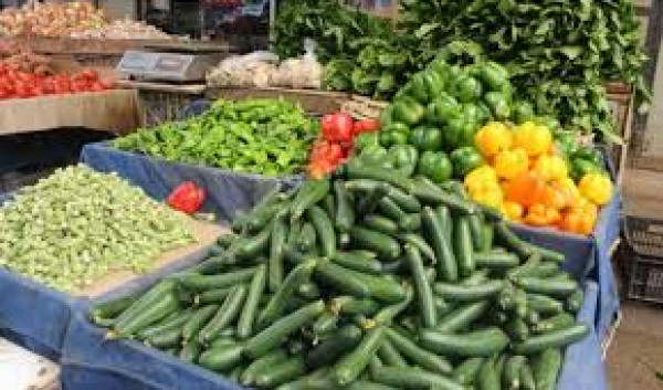 طالع: أسعار الخضروات والدجاج اليوم في غزة