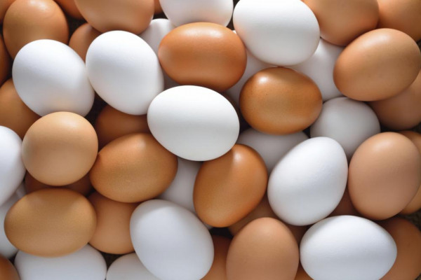 ما هو الفرق بين البيض ذي القشرة البنية والقشرة البيضاء؟