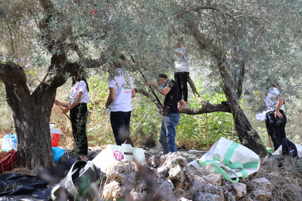 برنامج مؤسسة أكشن إيد فلسطين يدعم المشاركة المدنية والديمقراطية للشباب الفلسطيني