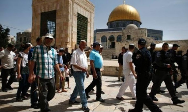 108 مستوطنين يقتحمون باحات المسجد الأقصى